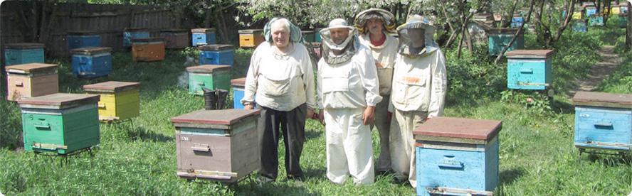 Пасека 57 - продажа пчелопакетов, пчелосемей, натурального меда в Санкт-Петербурге и Ленинградской области